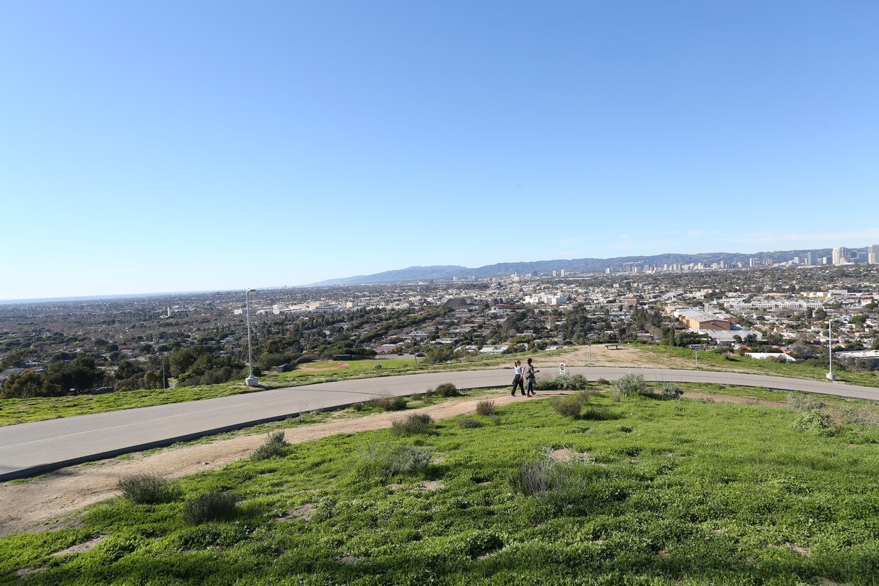 Picture of Del Rey Los Angeles