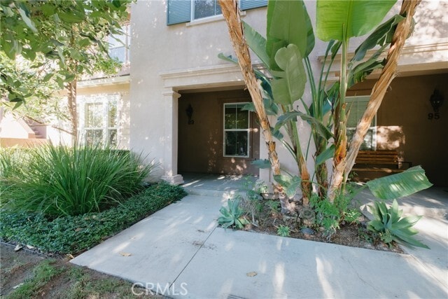 Primary Photo - 89 Duet