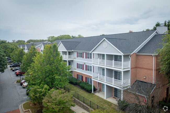 Building Photo - Salony House