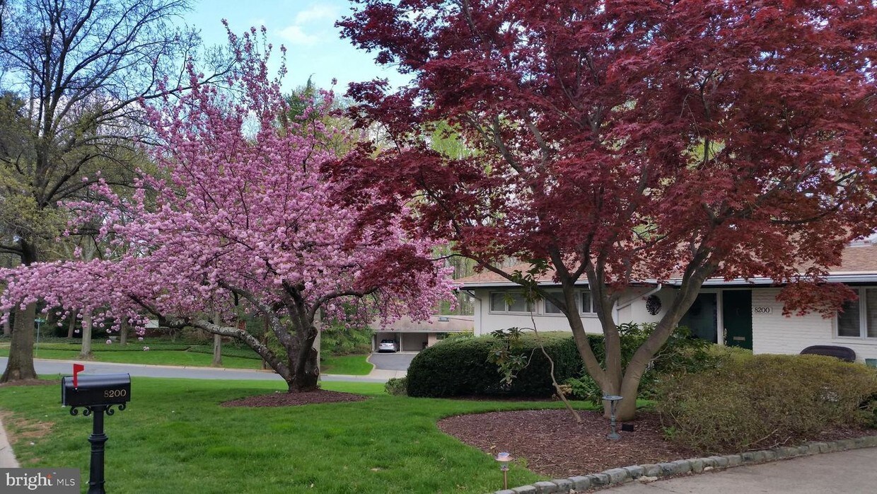 Primary Photo - 8200 Woodhaven Blvd