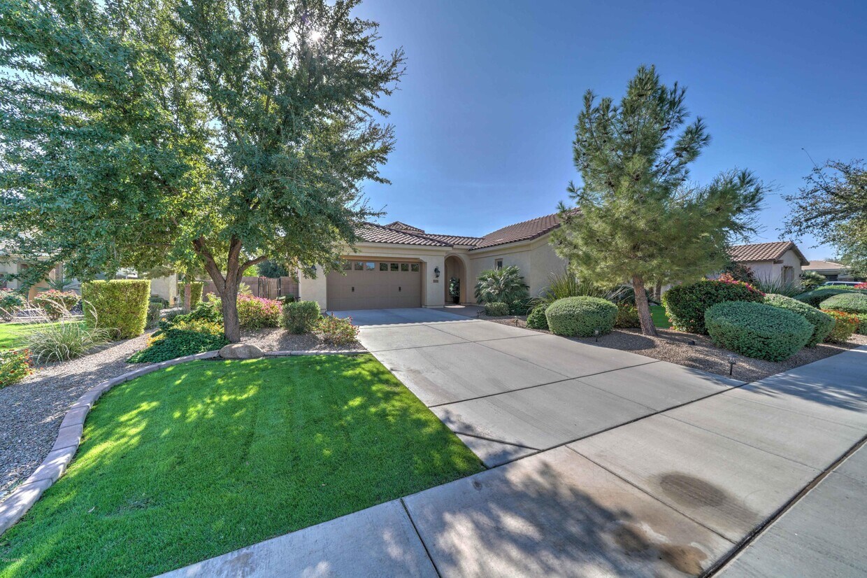 523 W Coconino Pl, Chandler, AZ 85248 House Rental in Chandler, AZ