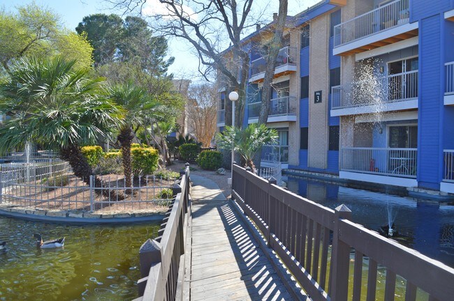 Oasis Apartments San Antonio Texas Oasis Apartments San Antonio Texas