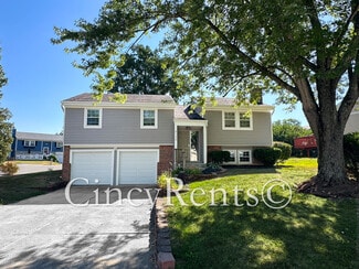 Building Photo - 8132 Timberjack Way