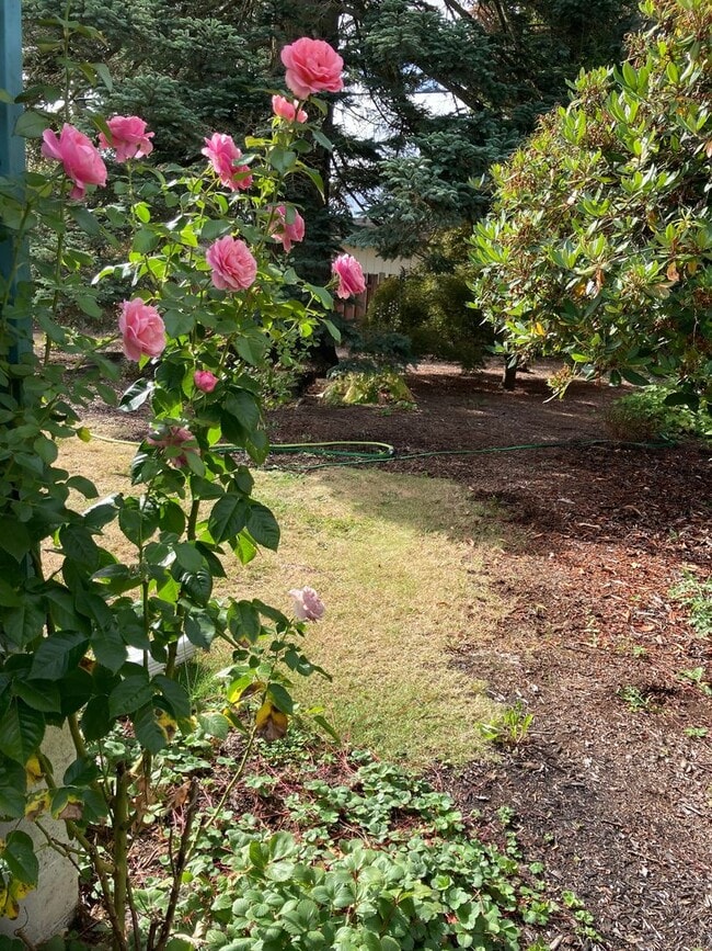 Building Photo - Cozy-Chic in Parkrose ~ Large Fenced Yard ...