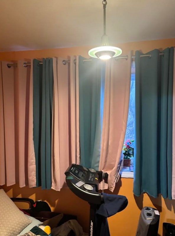 Building Photo - 74-11-74-97 97th Ave