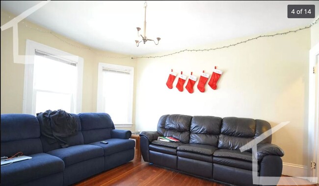 Building Photo - Brighton Center Location. High-End Kitchen...