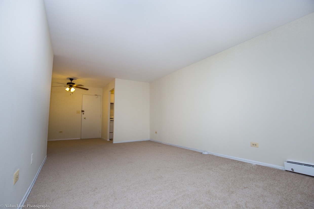 Living room - 525 W Deming Pl