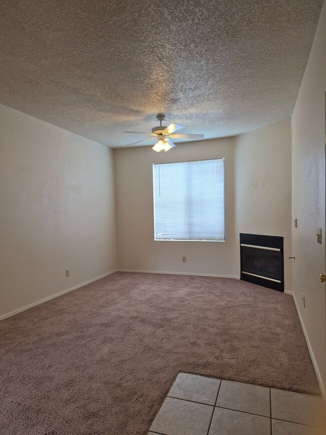Building Photo - Downstairs Two Bedroom
