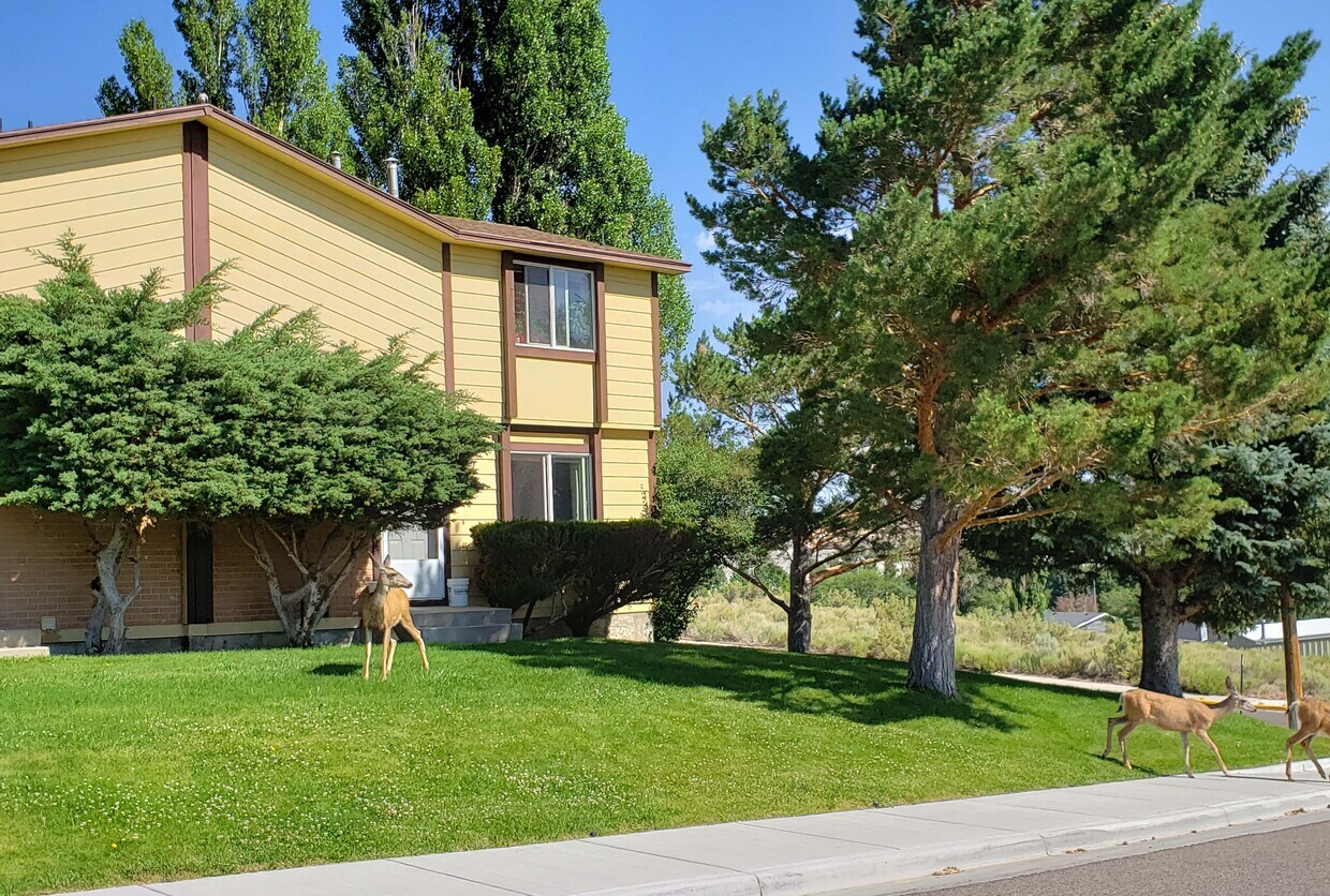 1730 Idaho St, Green River, WY 82935 Townhome Rentals in Green River