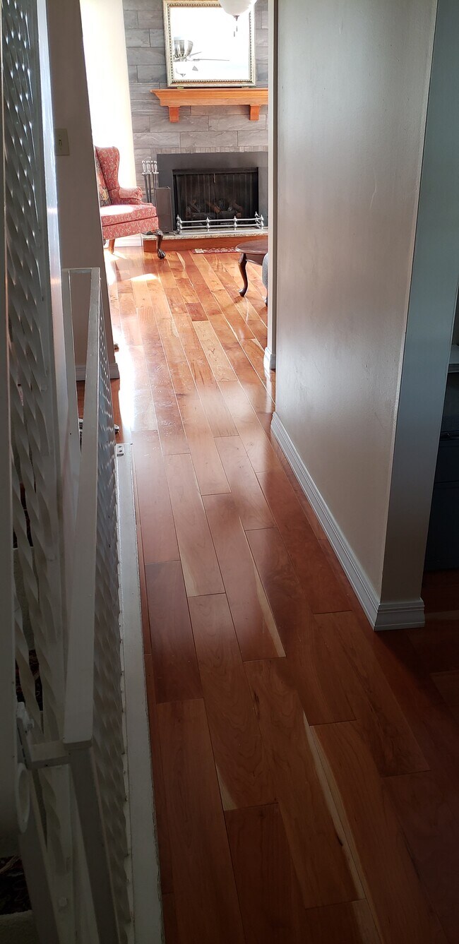 Foto del edificio - 805 Timber Ln