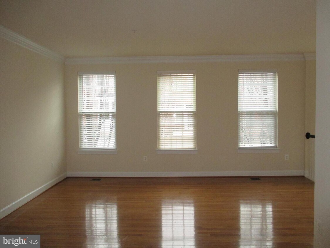 507 Triadelphia Way, Alexandria, VA 22312 Townhome Rentals in Alexandria VA