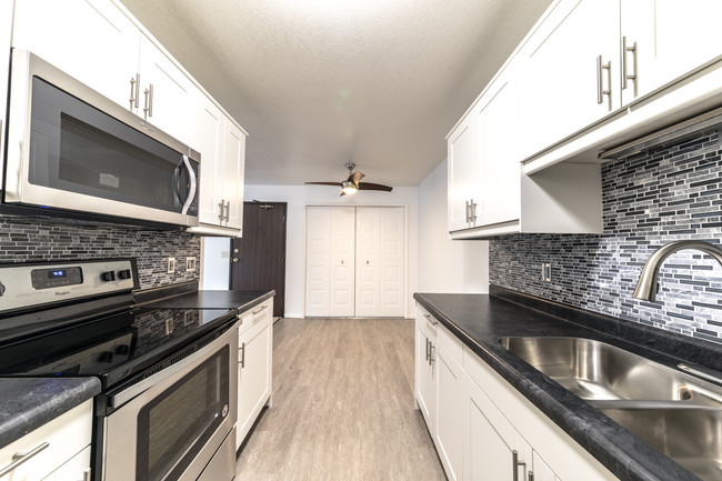 Option- cocina renovados - Chestnut Hills Apartments