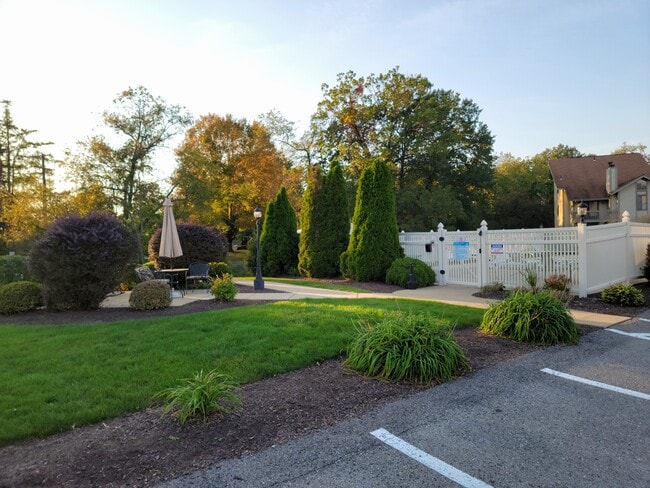 Pool area - 1264 Norberry Ct