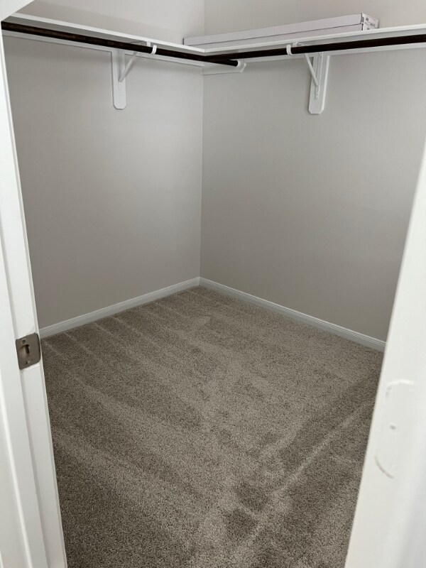 Foto del edificio - 7027 Cedar Breeze Ct