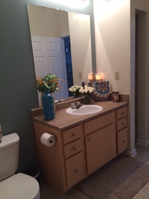 Baño - 624 Bristol Village Dr