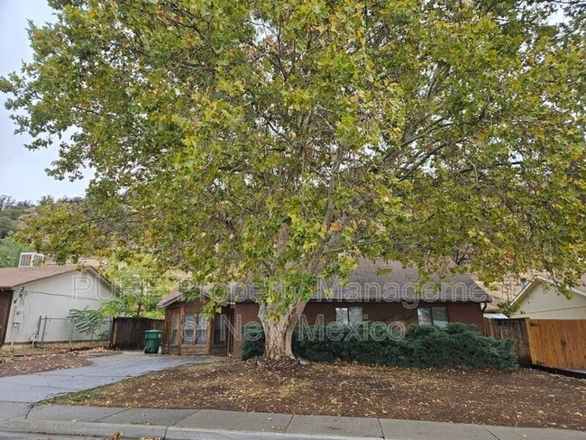 Building Photo - 3812 Wilshire Dr