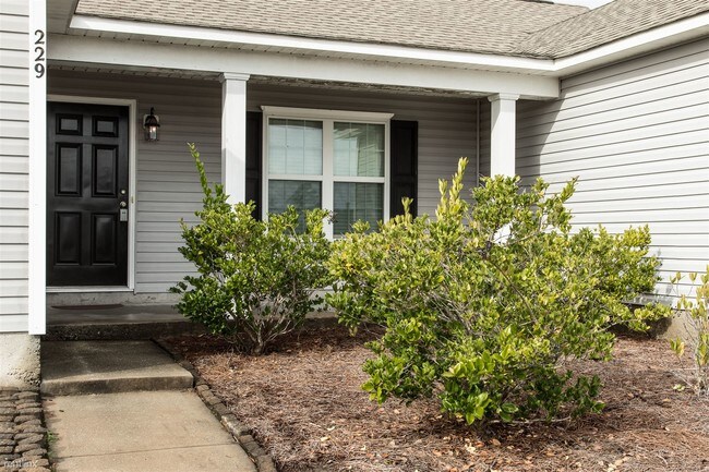 Building Photo - 229 Red Carnation Dr