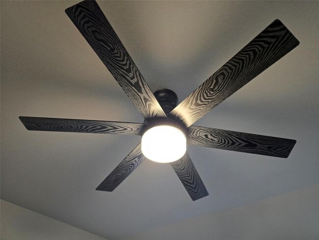 Foto del edificio - 602 Pearly Eye Dr