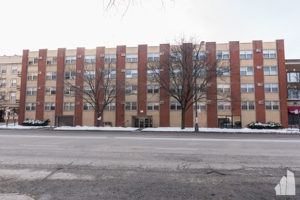 Primary Photo - Spacious Studio in Rogers Park!