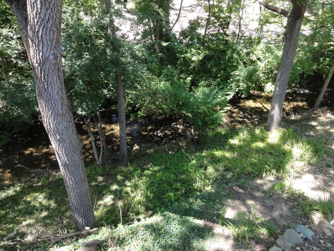 Building Photo - 1541 Jones Dr