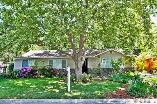Primary Photo - 118 Pulido Rd