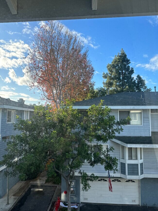 Foto del edificio - 8115 Surfline Dr