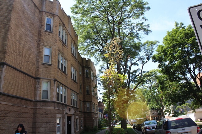 Building Photo - 4055 N Spaulding Ave