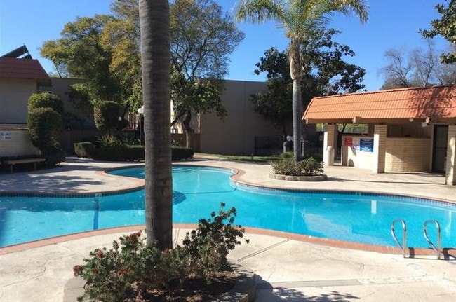Pool/Sauna/Hot tub/BBQ area - 6811 Alvarado Rd
