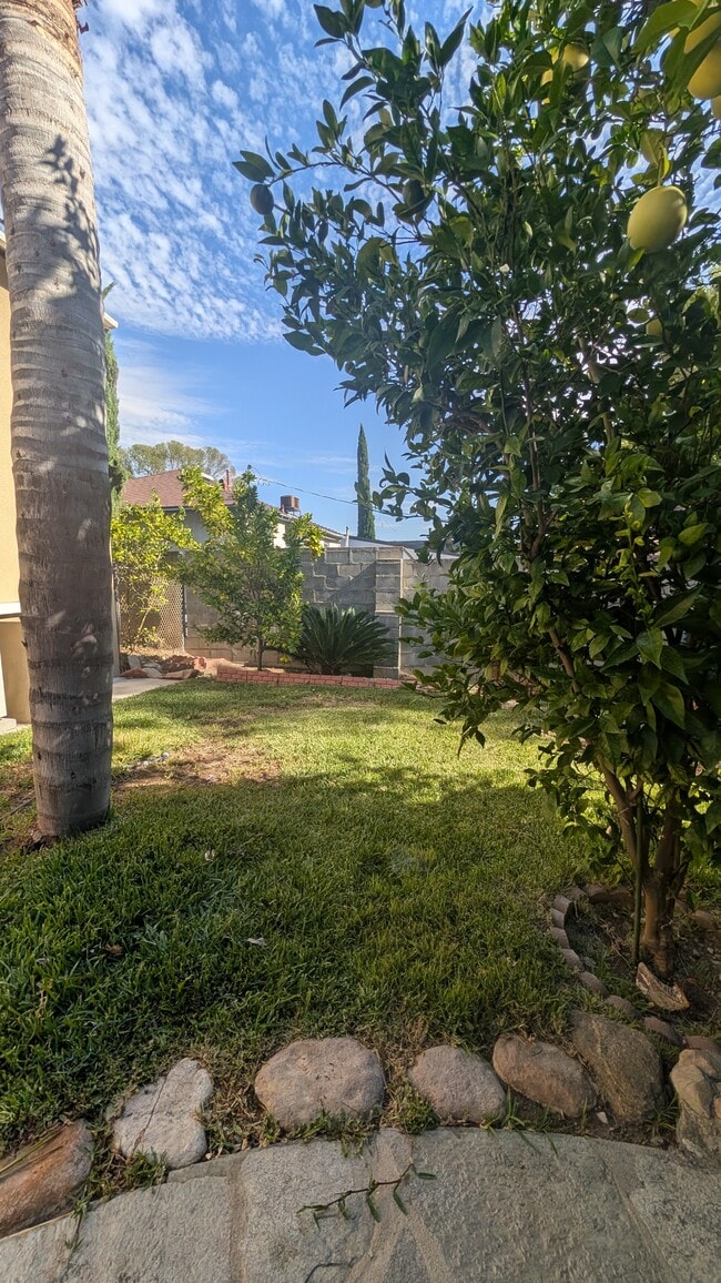 Foto del edificio - 3232 Brookhill St