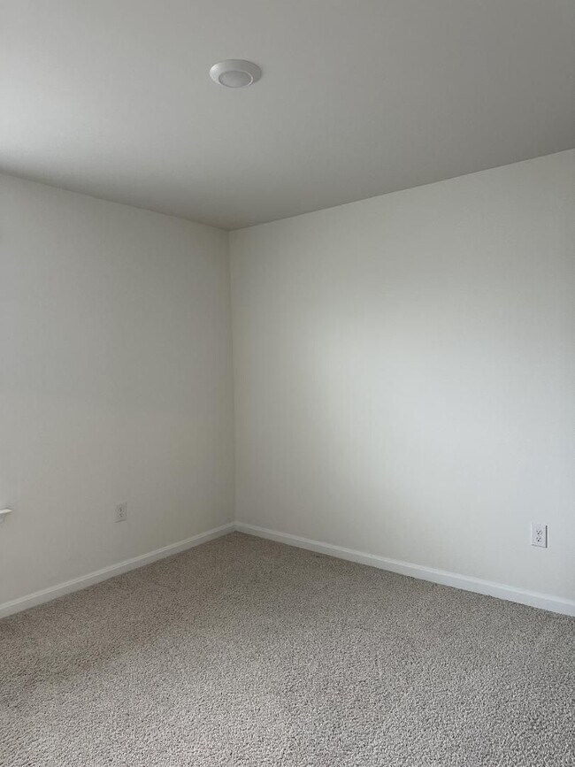 Building Photo - Modern Kitchen • Walk-In Closet • Private Primary Suite