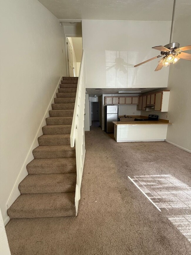 Sun-Filled 2/2 with Stainless Appliances & New Carpet - Sun-Filled 2/2 with Stainless Appliances & New Carpet House