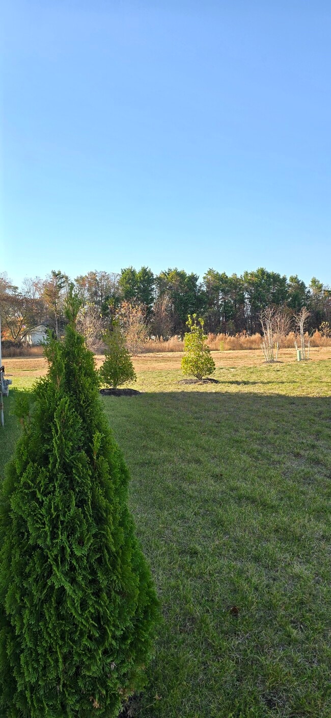 Foto del edificio - 35169 Wright Way