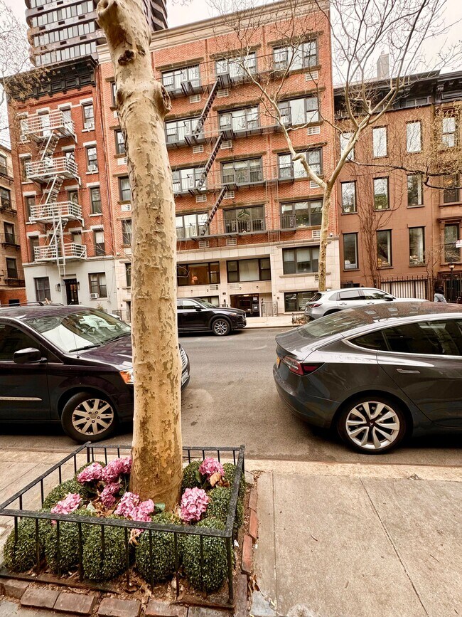 Foto del edificio - 444 E 87th St
