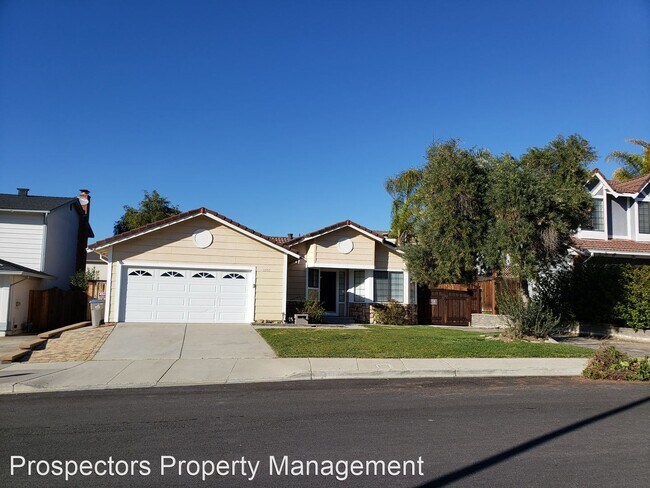 3 br, 2 bath House - 3357 San Saba Dr photo'