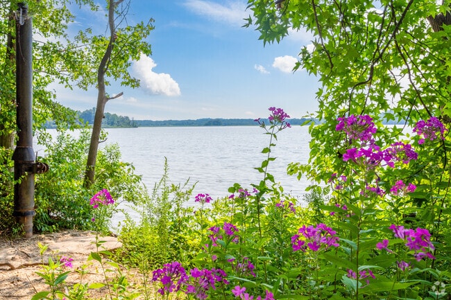 A summer bloom along the waterfront picnic area at The Leight Estuary Center.