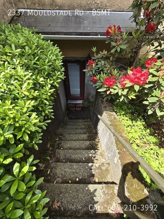 Photo du bâtiment - Cozy Basement Suite - Utilities Included