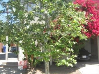 Foto del edificio - 7411 Willoughby Ave
