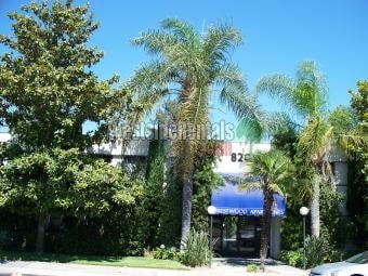 Primary Photo - 820 S Rosemead Blvd