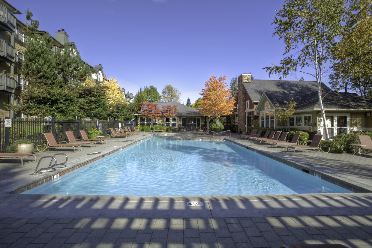 Swimming pool - Avalon at Bear Creek