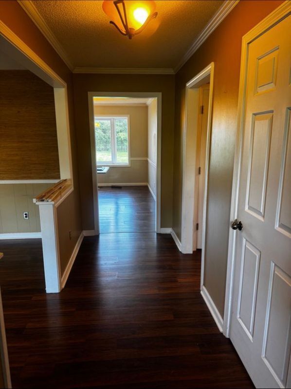 Foto del edificio - 806 Lois Ln