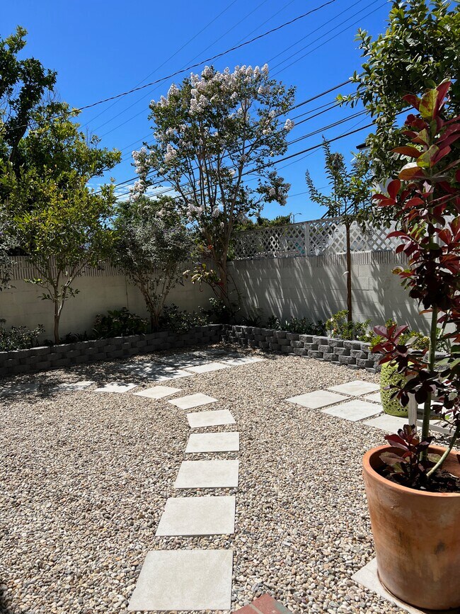 Side Yard - 2725 Barry Ave