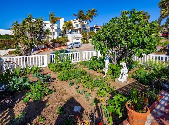 Foto del edificio - Ocean Beach detached Home w Yard