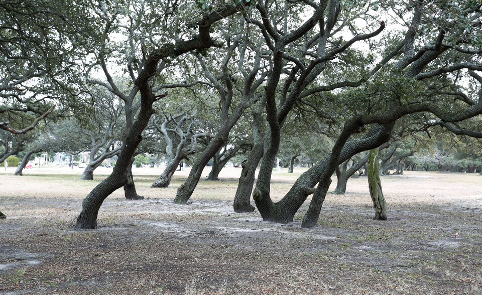 West Ocean View Apartments for Rent Norfolk, VA