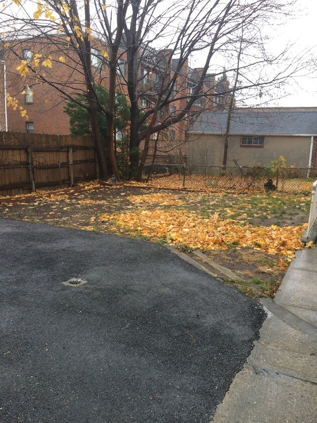 backyard - 61-21 169th St