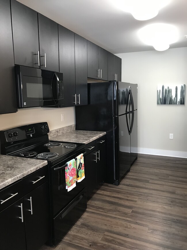 Kitchen - The Oasis (Student Housing) Apartments