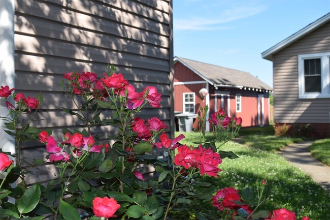 Building Photo - 355 Creek Ave