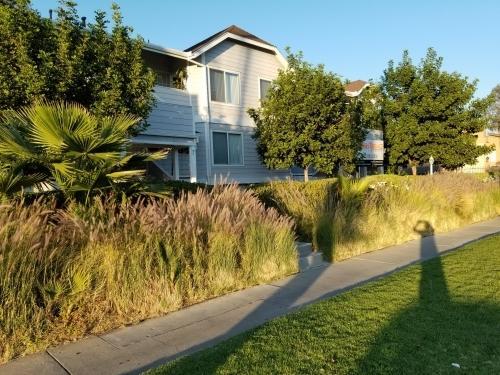 Primary Photo - 2 bedroom in Reseda CA