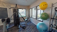 This single-floor amenity space offers residents a comprehensive recreational experience through two distinct areas designed for fitness and relaxation. The fitness room is well-appointed with a multi-station strength training machine, supplementary exercise equipment, and a collection of stability balls in various sizes for flexibility and core training. Large, grid-paned windows line the walls, flooding the carpeted space with natural light while offering views of the surrounding greenery, creating an open and motivating workout environment. The textured ceiling and clean white walls give the room a tidy, functional feel. Beyond the fitness room, the outdoor area showcases a generously sized, freeform swimming pool with a connected spa, both finished with classic tile detailing. The crystal-clear water is complemented by a spacious pool deck furnished with lounge chairs and shaded umbrella tables, ideal for unwinding. Towering palm trees and mature shade trees frame the perimeter, enhancing the resort-like atmosphere under open blue skies. The surrounding landscaping and privacy fencing create a serene, enclosed retreat, making this outdoor space as inviting as it is visually striking.