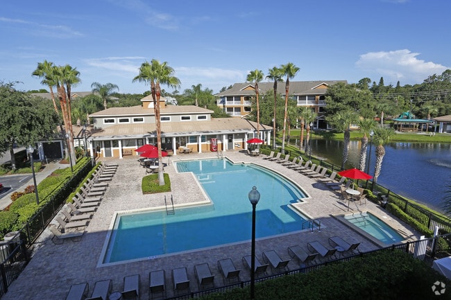 Building Photo - Trinity Palms at Seven Springs