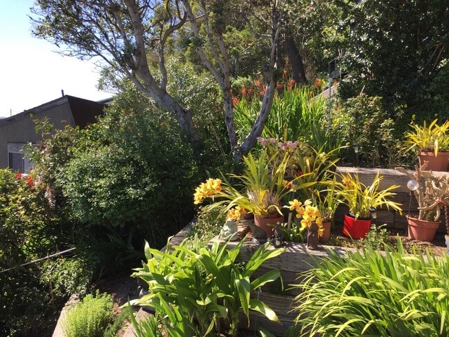 Photo - 869 Ocean Ave House